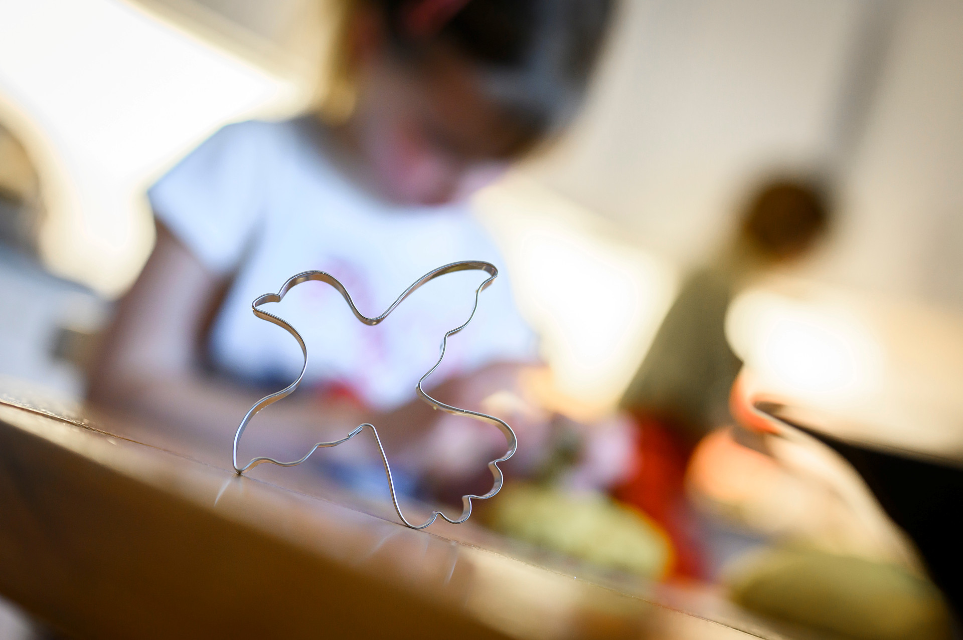 Foto Magnus Aronson-4168