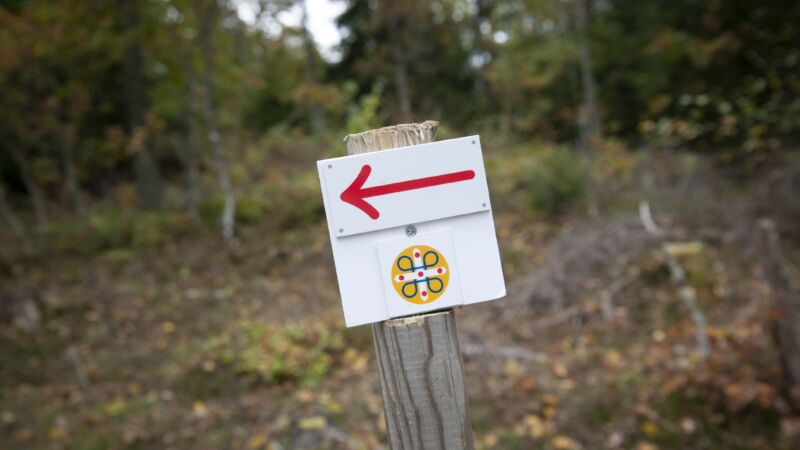 Pilgrimsvandring