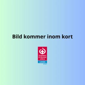 Bild kommer inom kort