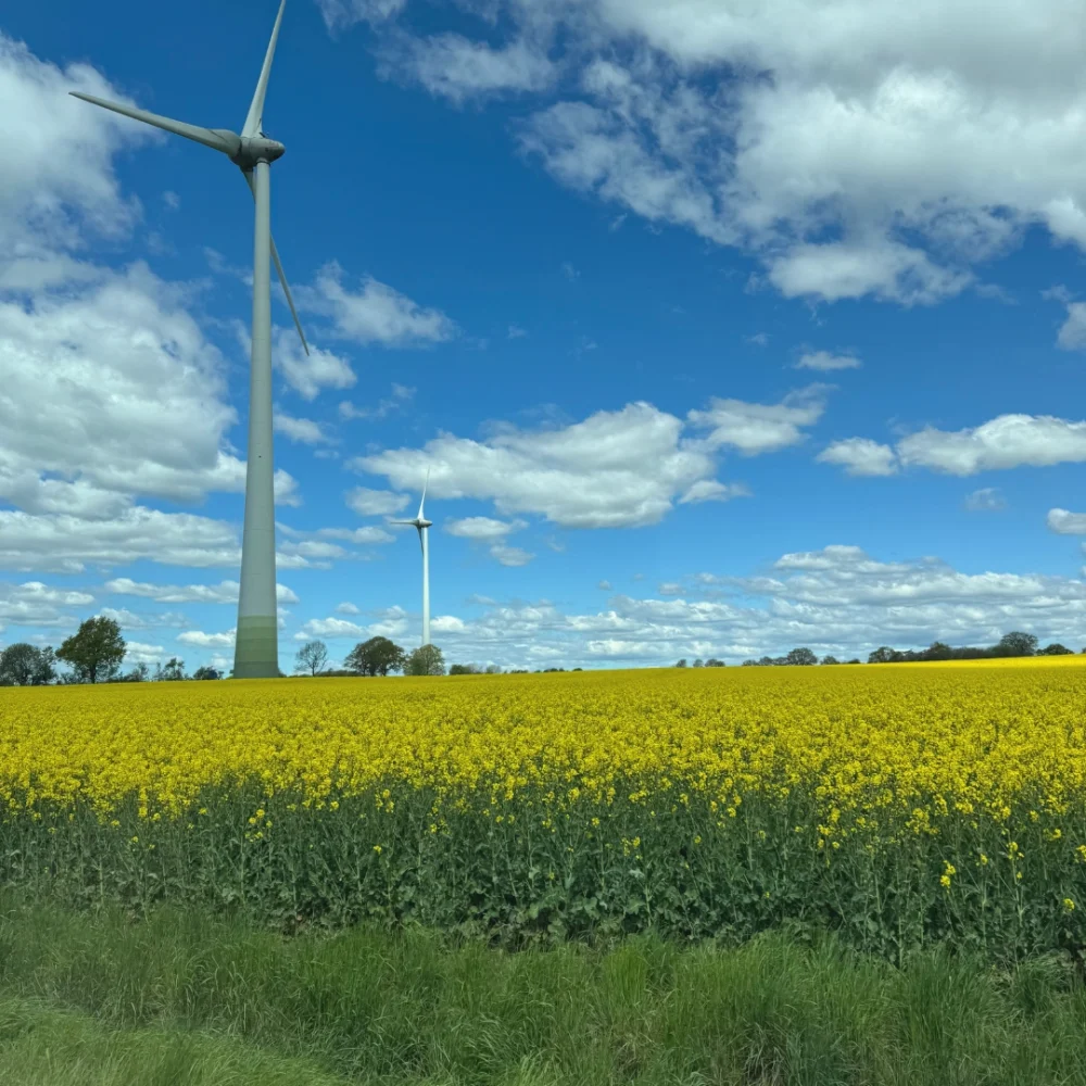 Kopia av Sommarstängt 2025