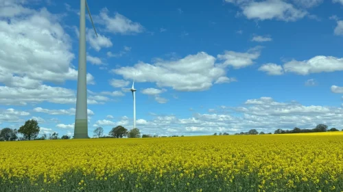 Kopia av Sommarstängt 2025