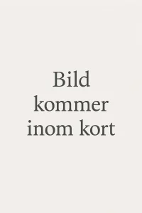 Designer (3)