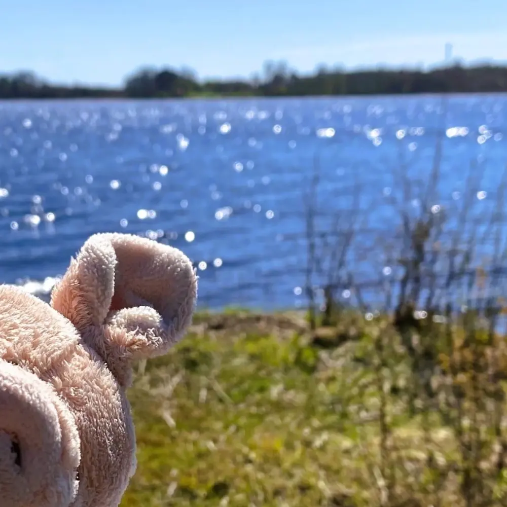 Välkommen till Svenska Kyrkans Unga i Uppsala stift