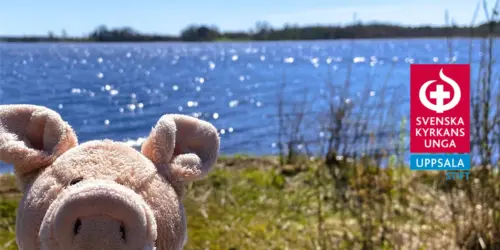 Välkommen till Svenska Kyrkans Unga i Uppsala stift